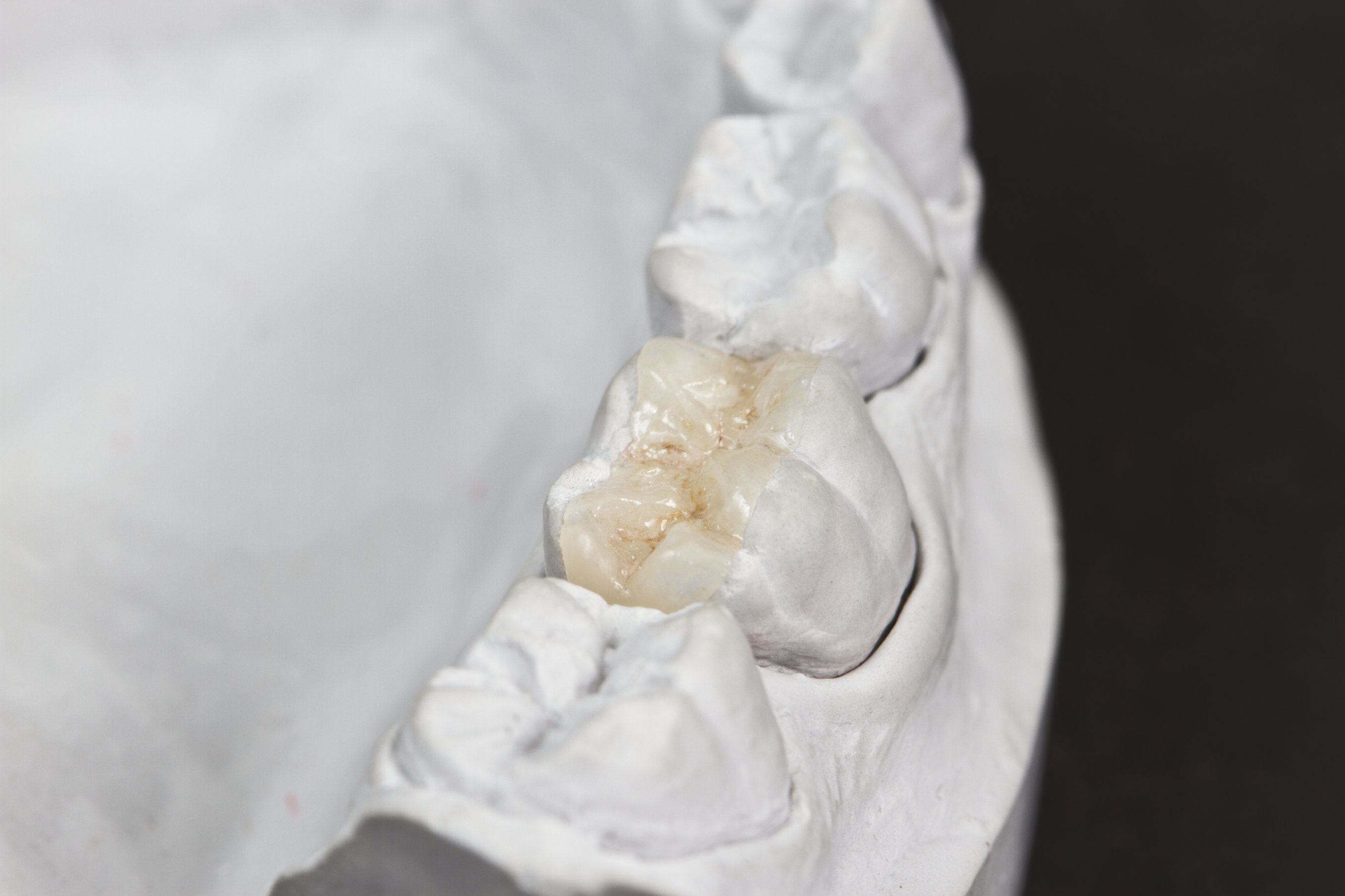 Image Alt Text 7